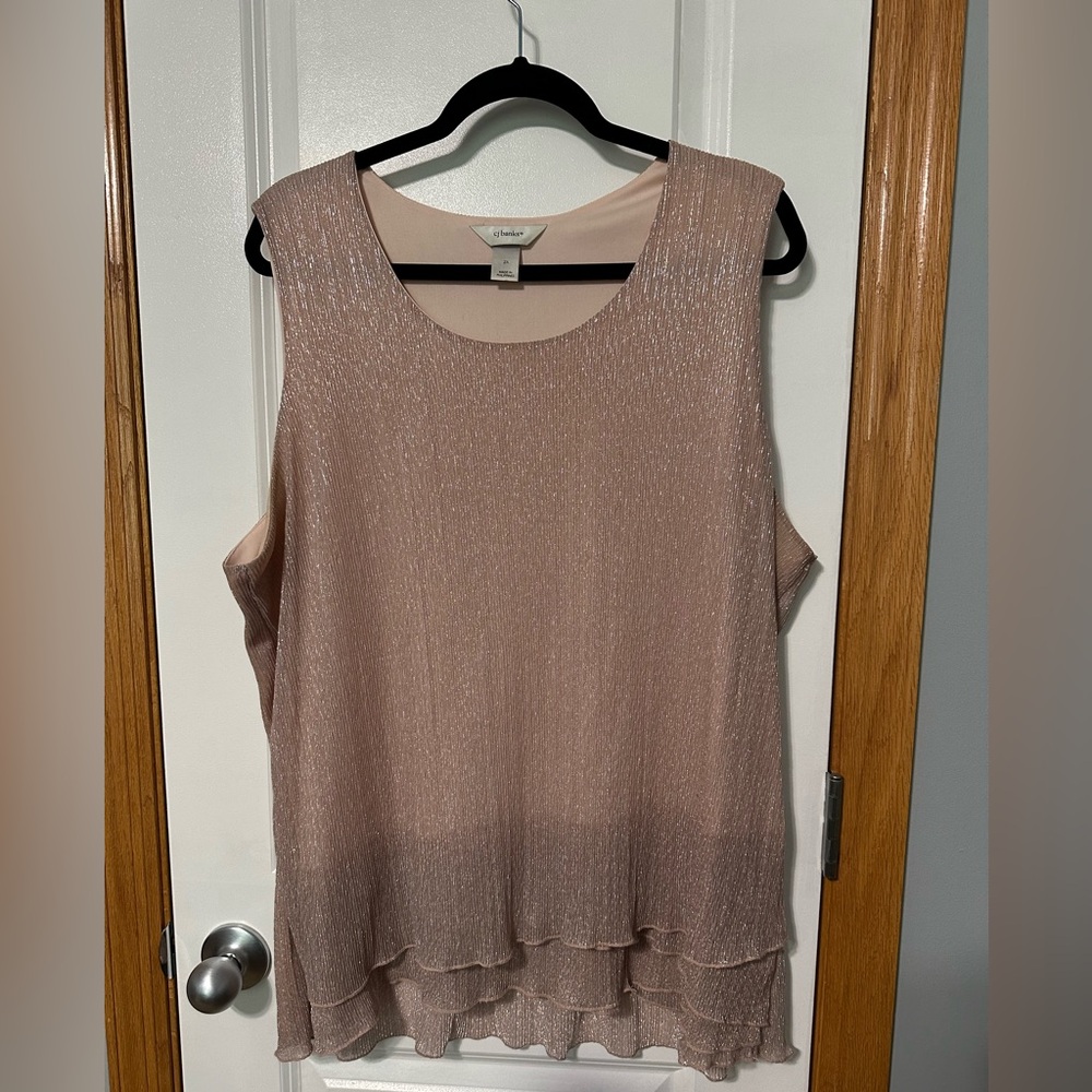 Pink Layered Top by CJ Banks